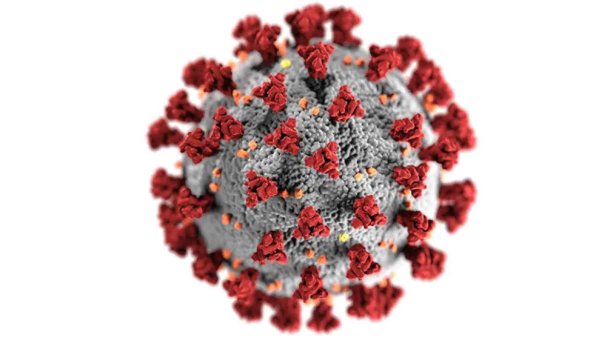 pandemia-2021